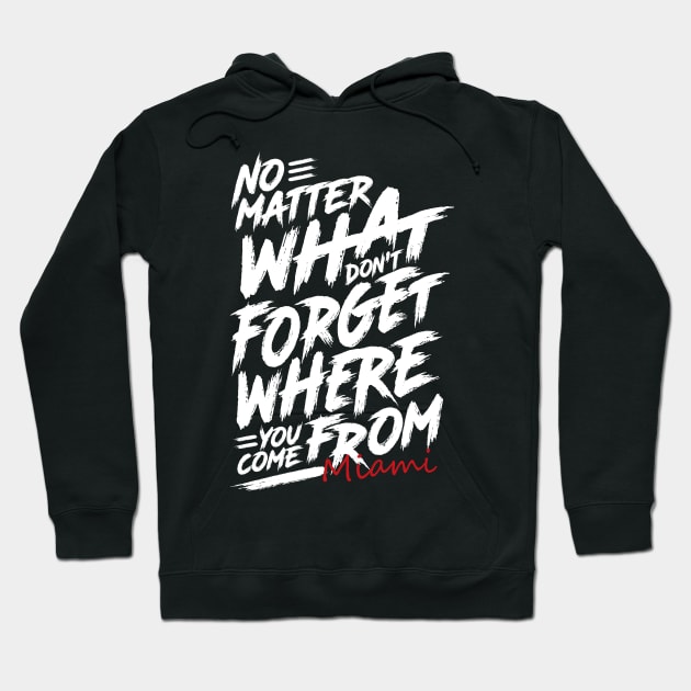 Where You Come From Miami Hoodie by iSoulated Designs